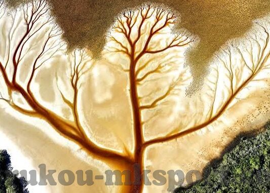 捷报足球比分即时-捷报足球比分即时，绿茵场上的数字脉搏与激情交响