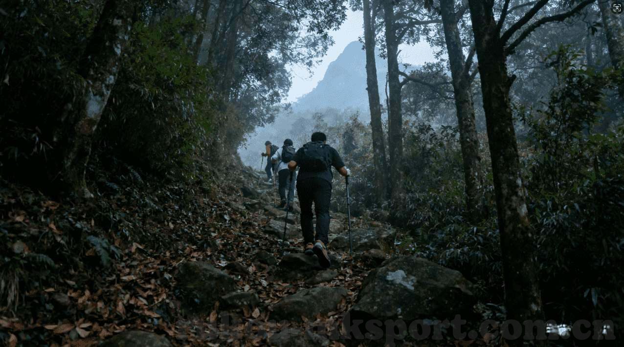 问鼎娱乐可以开挂吗-问鼎娱乐是否允许作弊，虚拟与现实边界的探讨